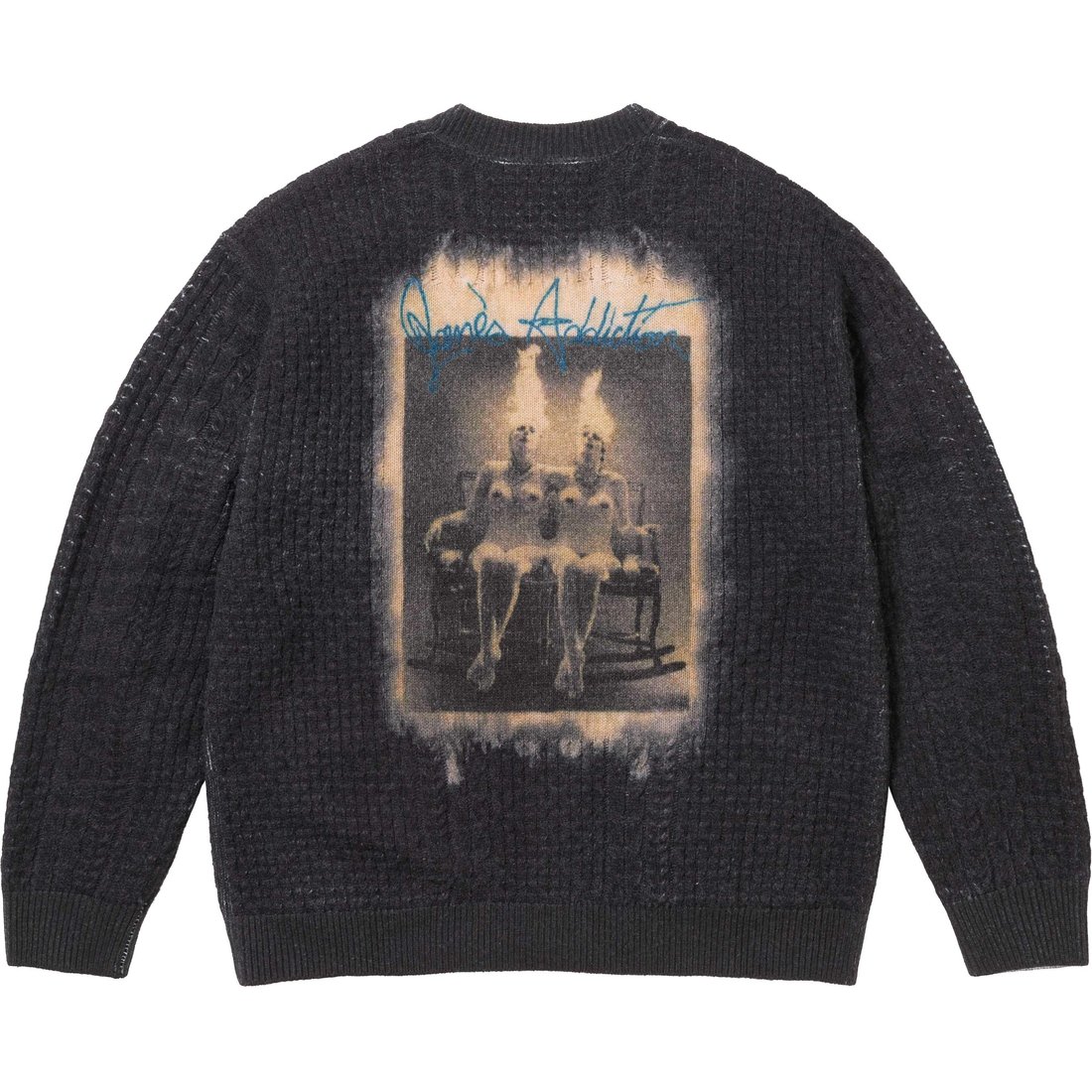 Details on Jane's Addiction Cardigan Black from fall winter
                                                    2024 (Price is $228)