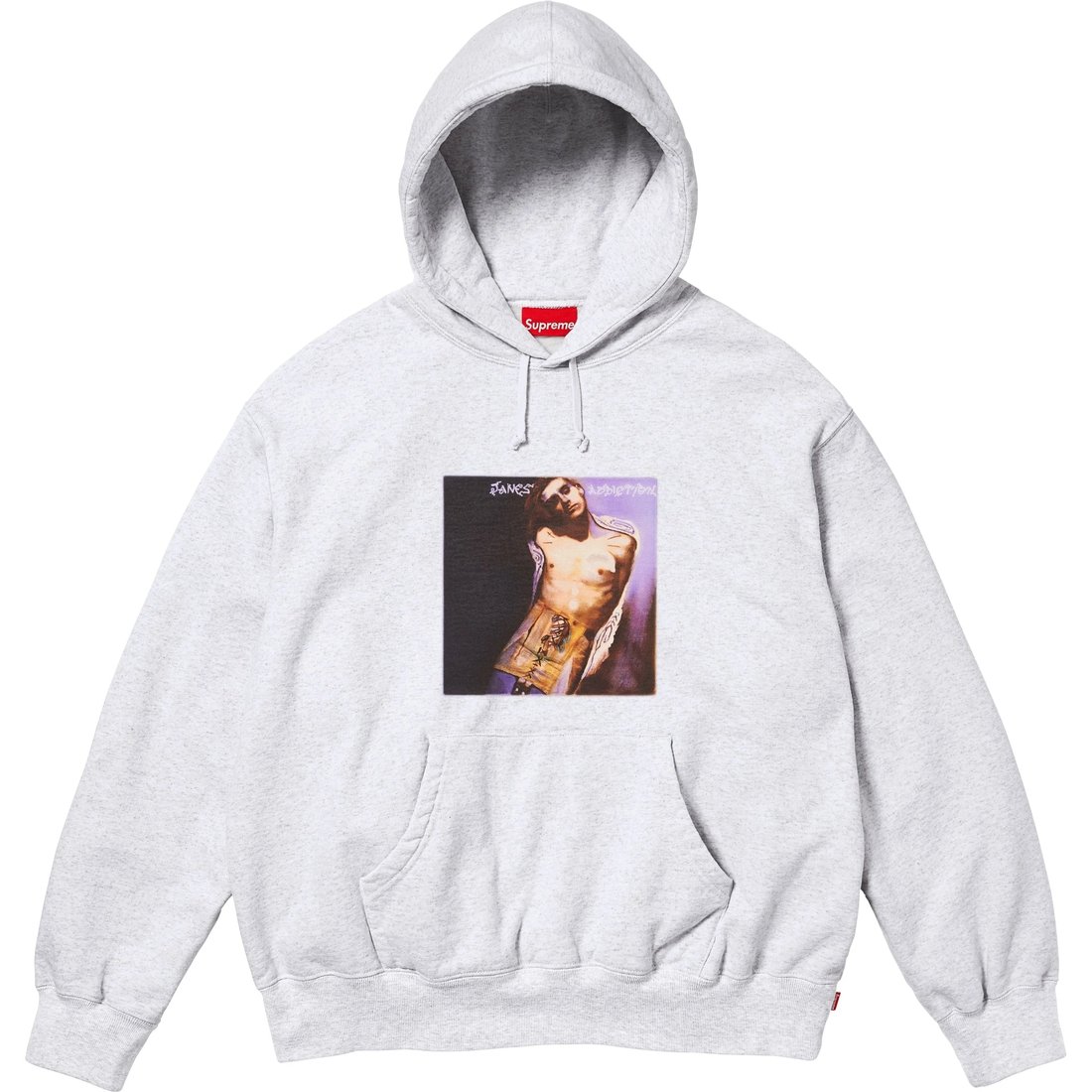 Details on Jane's Addiction Hooded Sweatshirt Ash Grey from fall winter
                                                    2024 (Price is $178)