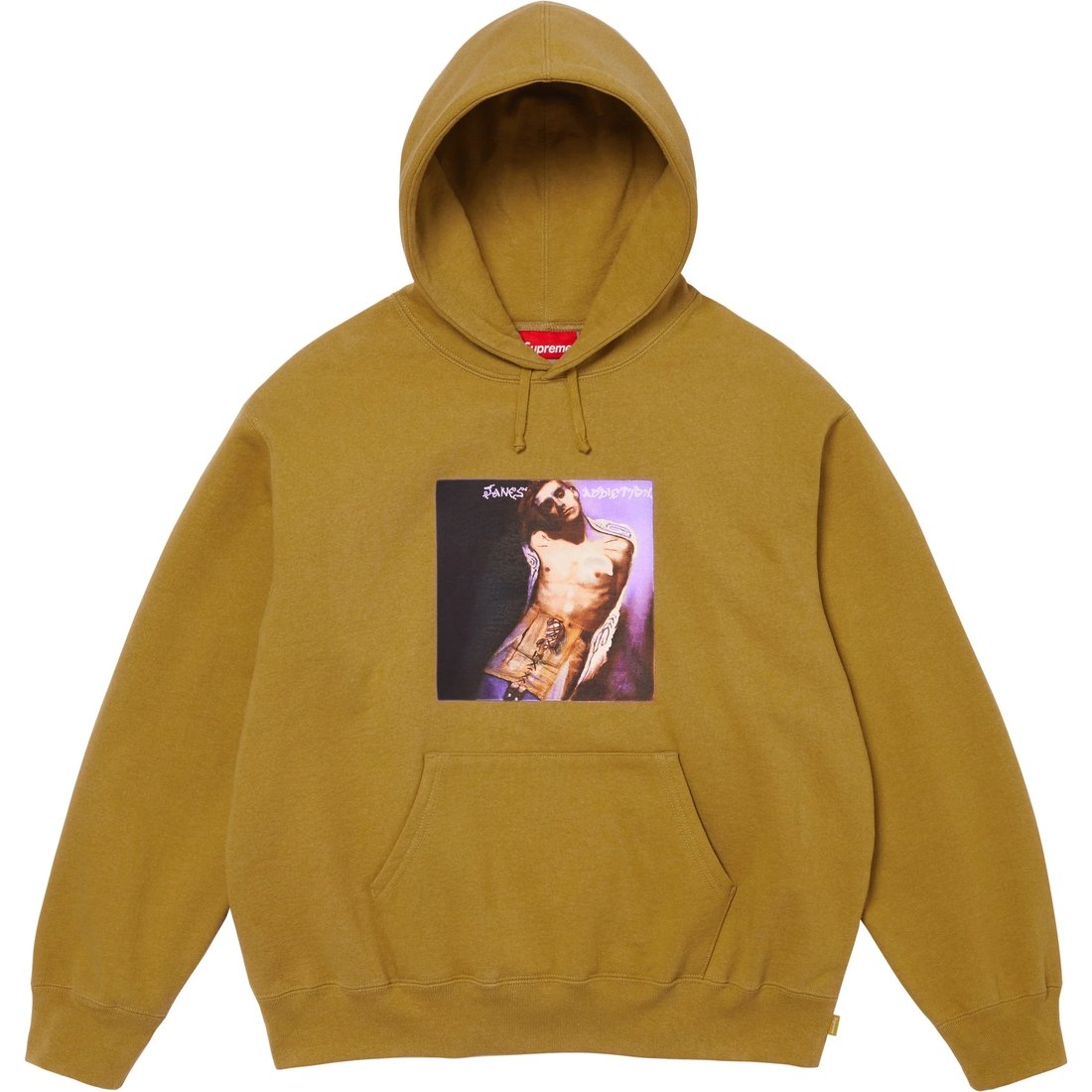 Details on Jane's Addiction Hooded Sweatshirt Dark Mustard from fall winter
                                                    2024 (Price is $178)