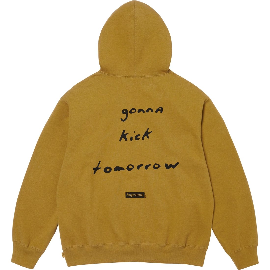 Details on Jane's Addiction Hooded Sweatshirt Dark Mustard from fall winter
                                                    2024 (Price is $178)