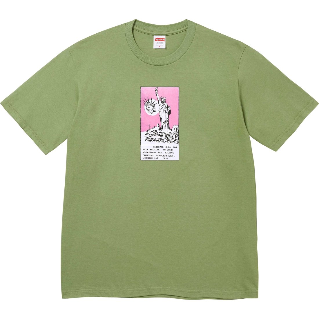 Details on Liberty Tee Moss from fall winter
                                                    2024 (Price is $40)