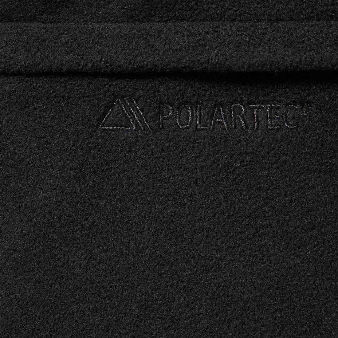 Details on Polartec Short Black from fall winter
                                                    2024 (Price is $110)