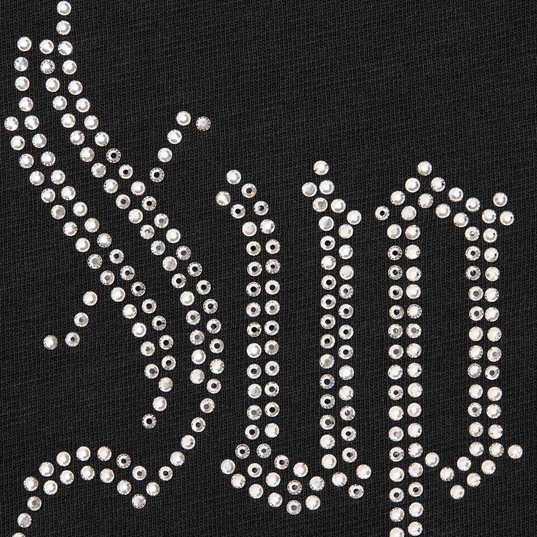 Details on Rhinestone S S Top Black from fall winter
                                                    2024 (Price is $118)