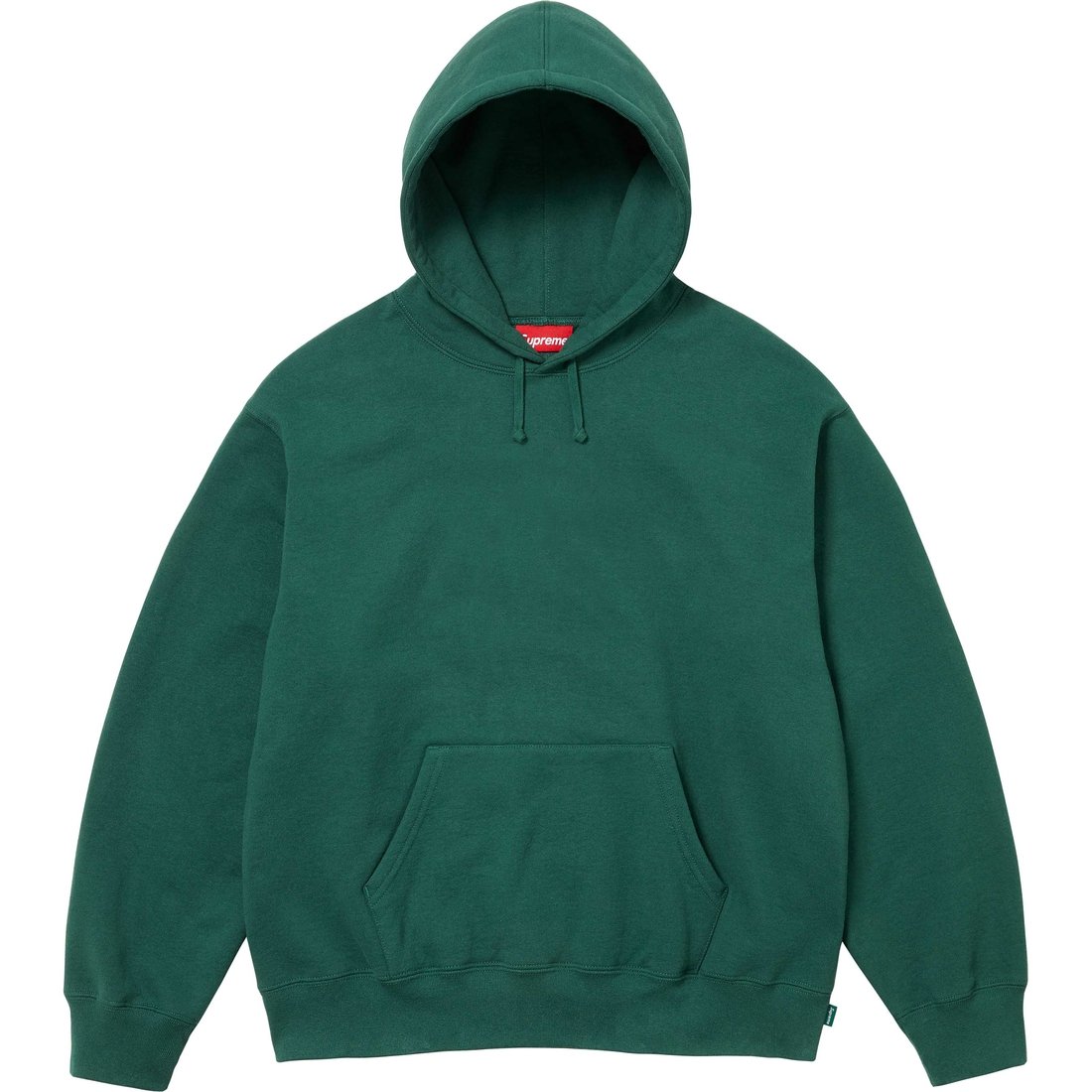 Details on Satin Appliqué Hooded Sweatshirt Dark Green from fall winter
                                                    2024 (Price is $158)