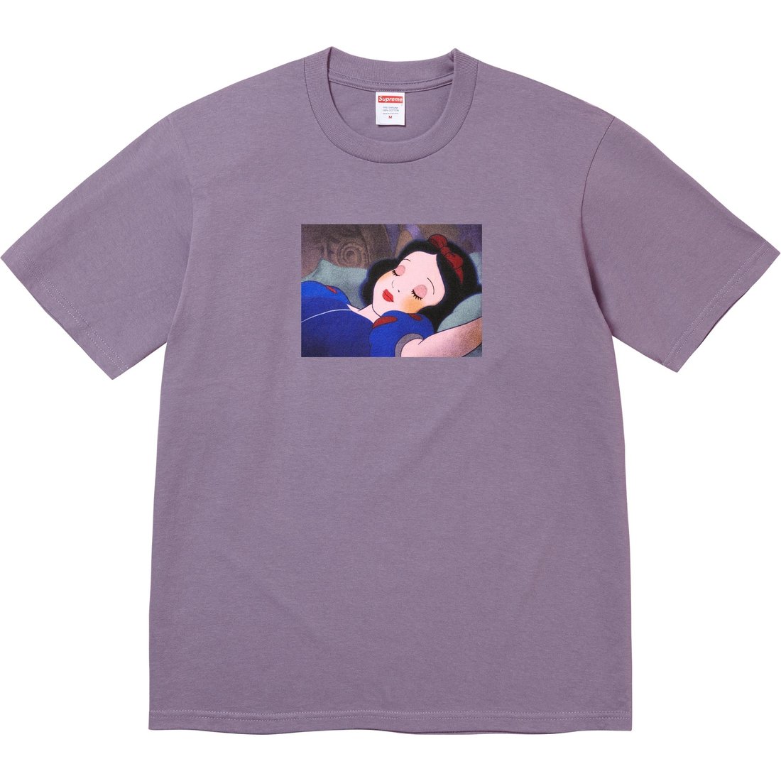 Details on Snow White Tee Dusty Purple from fall winter
                                                    2024 (Price is $48)