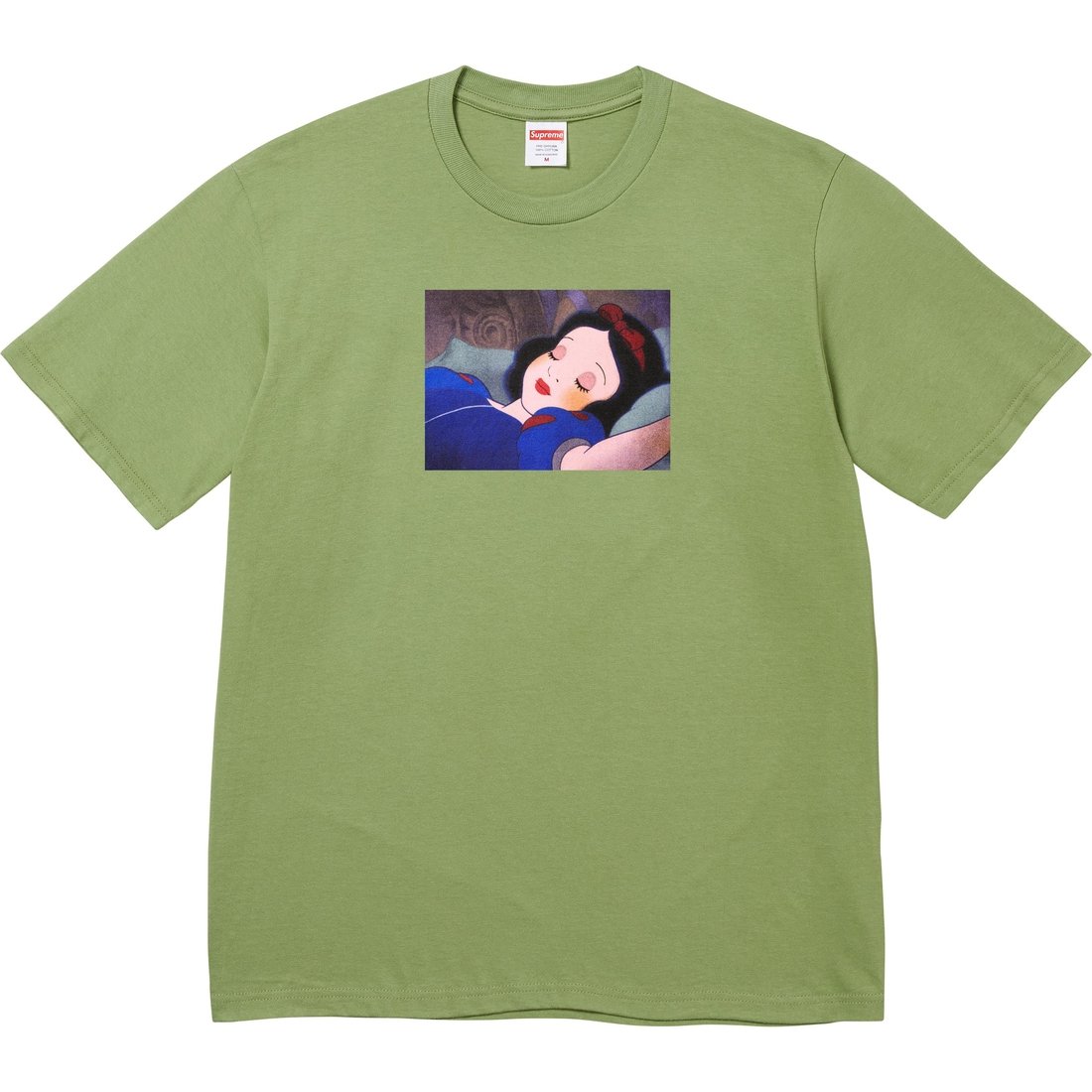 Details on Snow White Tee Moss from fall winter
                                                    2024 (Price is $48)