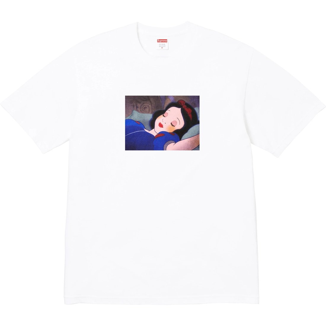 Details on Snow White Tee White from fall winter
                                                    2024 (Price is $48)