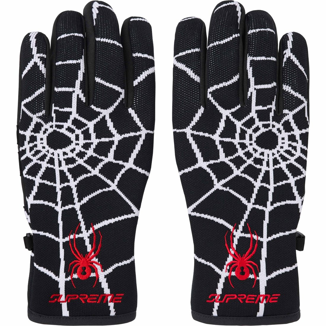 Details on Supreme Spyder Gloves Black from fall winter
                                                    2024 (Price is $58)