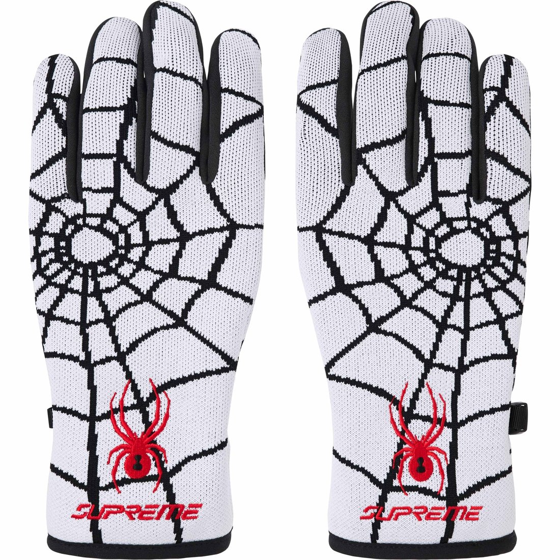 Details on Supreme Spyder Gloves White from fall winter
                                                    2024 (Price is $58)