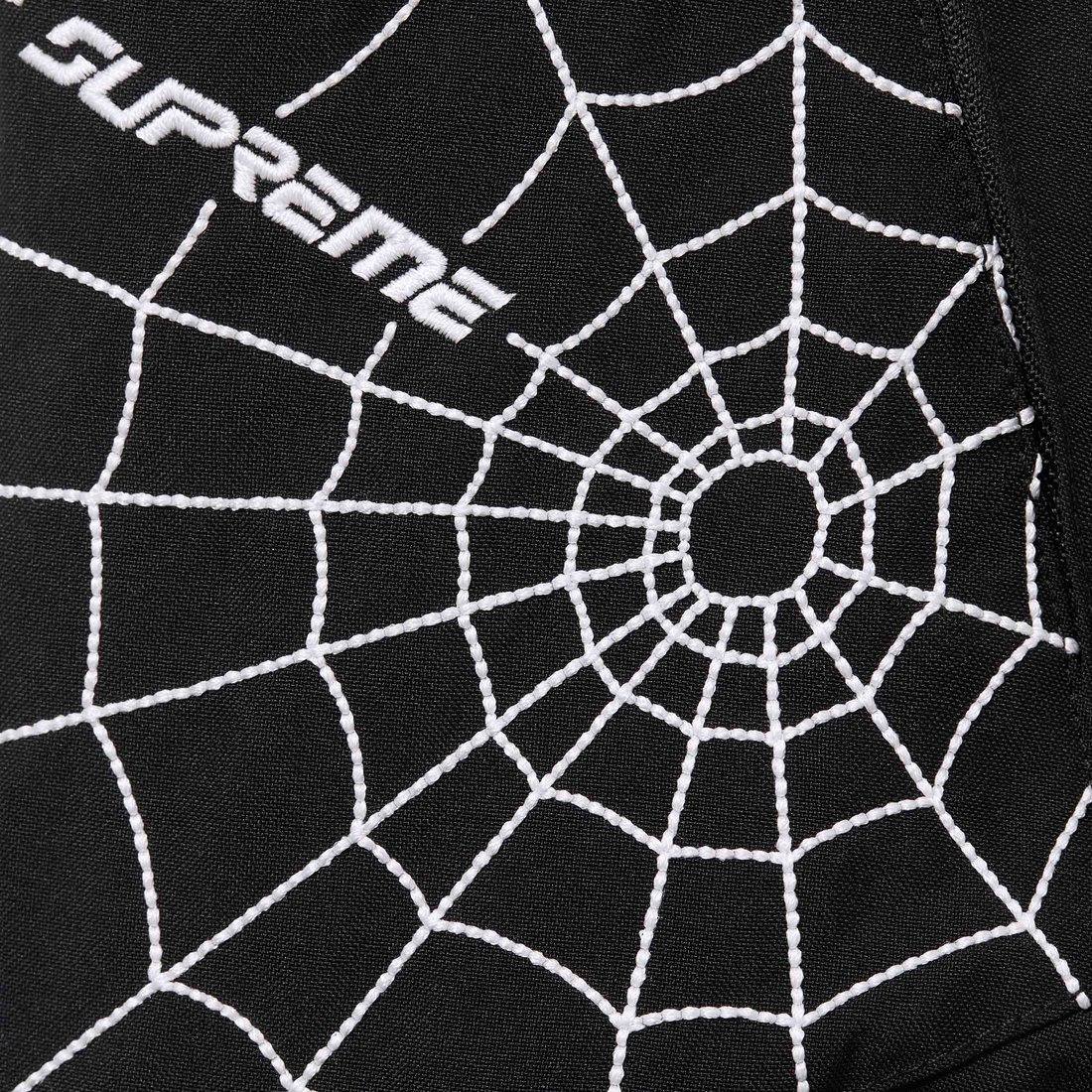 Details on Supreme Spyder Technical Jacket Black from fall winter
                                                    2024 (Price is $598)