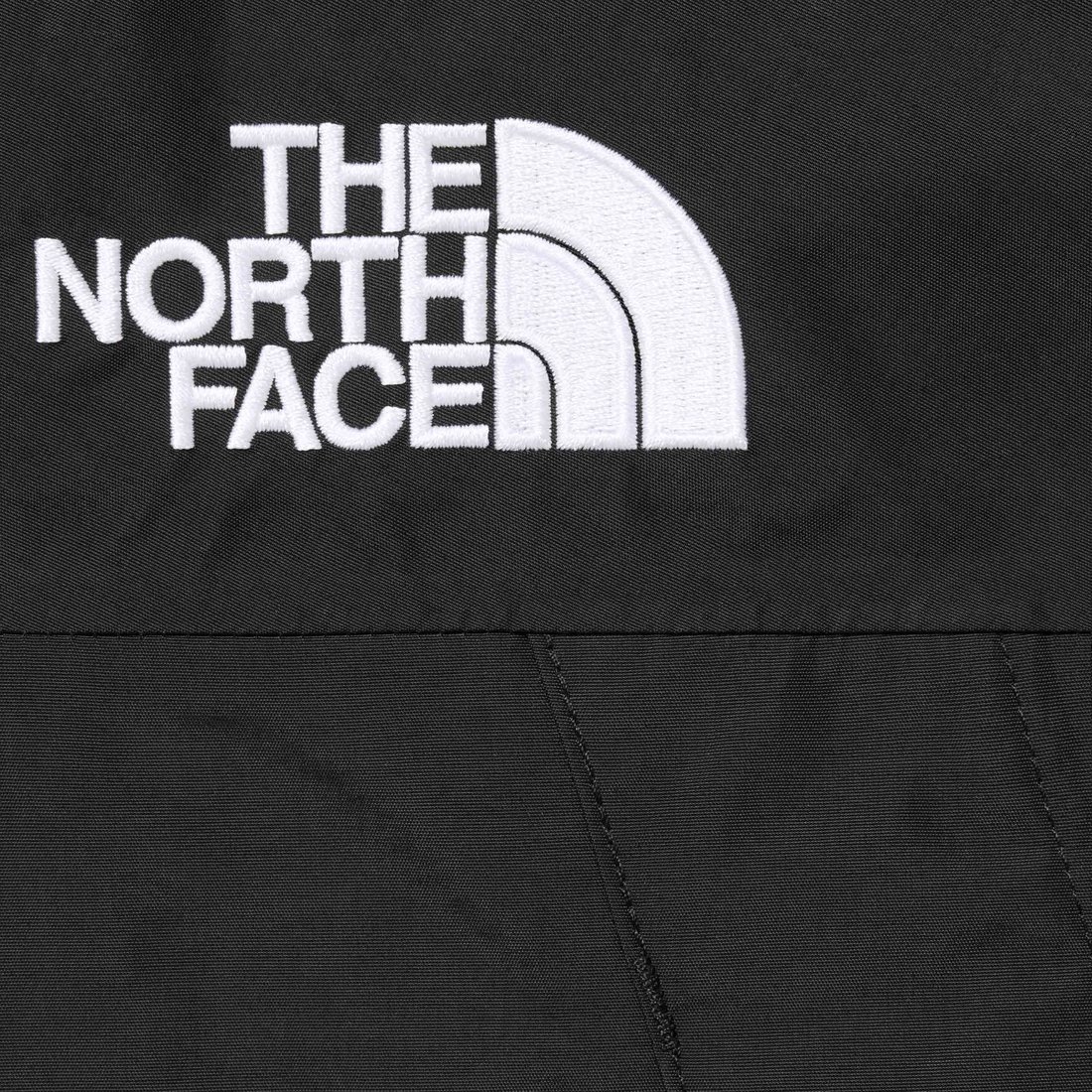 Details on Supreme The North Face Mountain Jacket Black from fall winter
                                                    2024 (Price is $438)