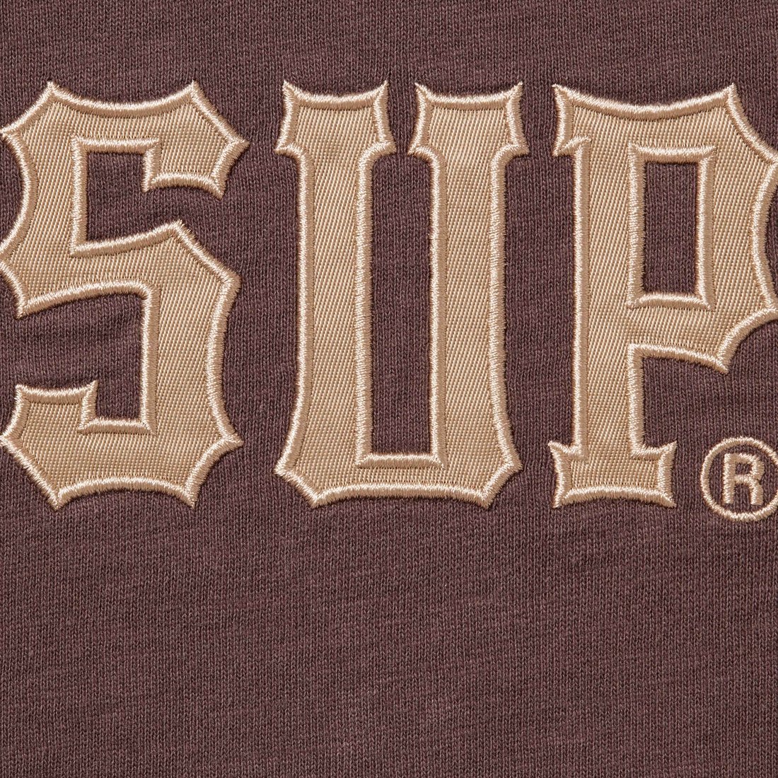 Details on Twill Appliqué S S Top Brown from fall winter
                                                    2024 (Price is $78)