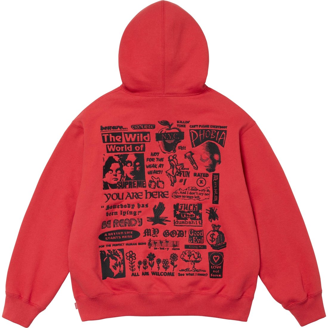 Details on Wild Embroidered Hooded Sweatshirt Burnt Red from fall winter
                                                    2024 (Price is $168)