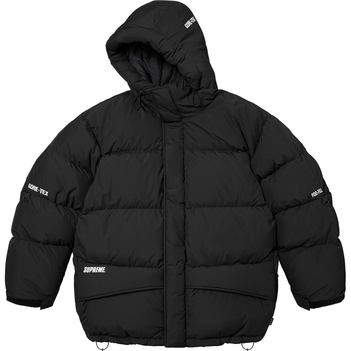 Details on GORE-TEX 900-Fill Down Parka Black from fall winter
                                                    2024