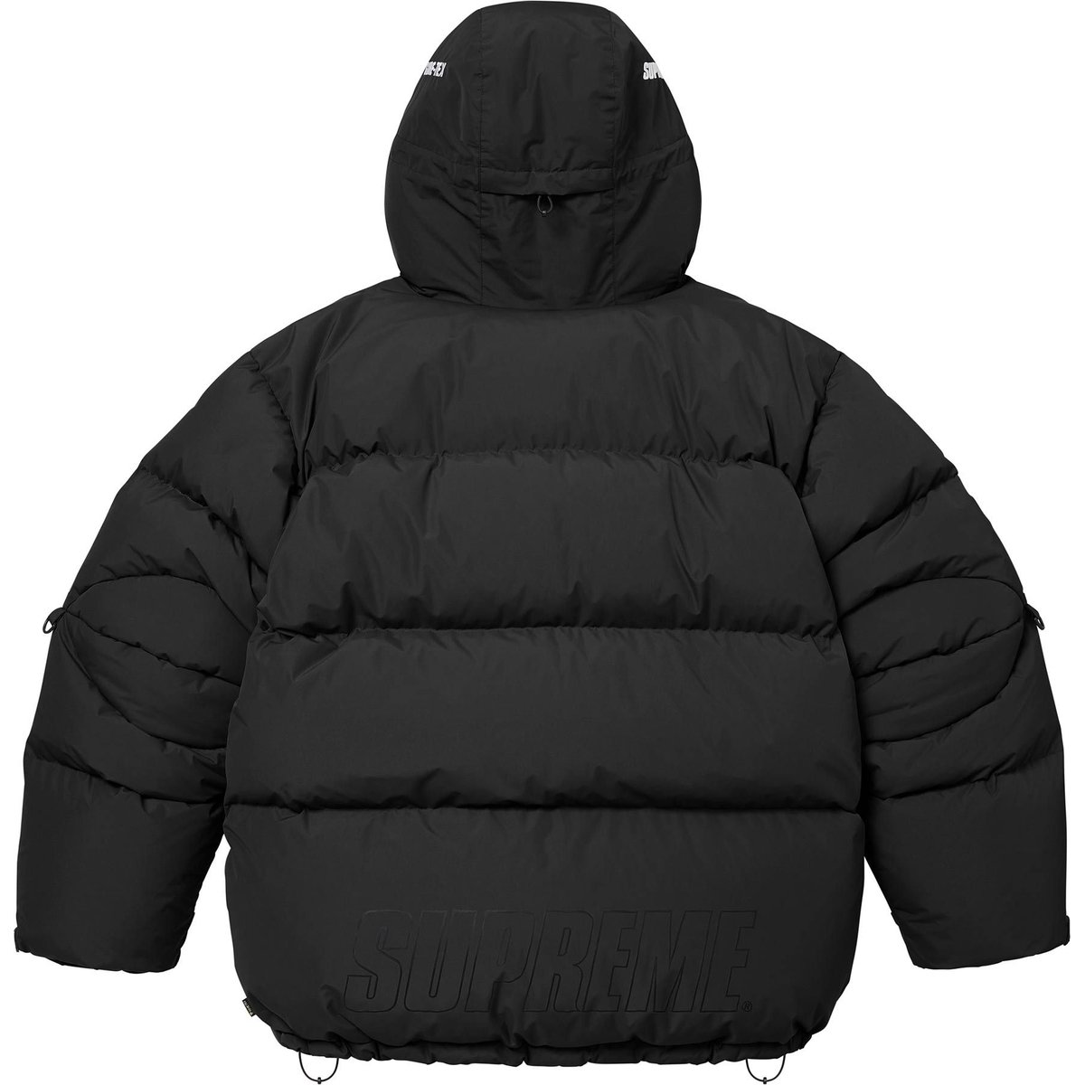 Details on GORE-TEX 900-Fill Down Parka Black from fall winter
                                                    2024