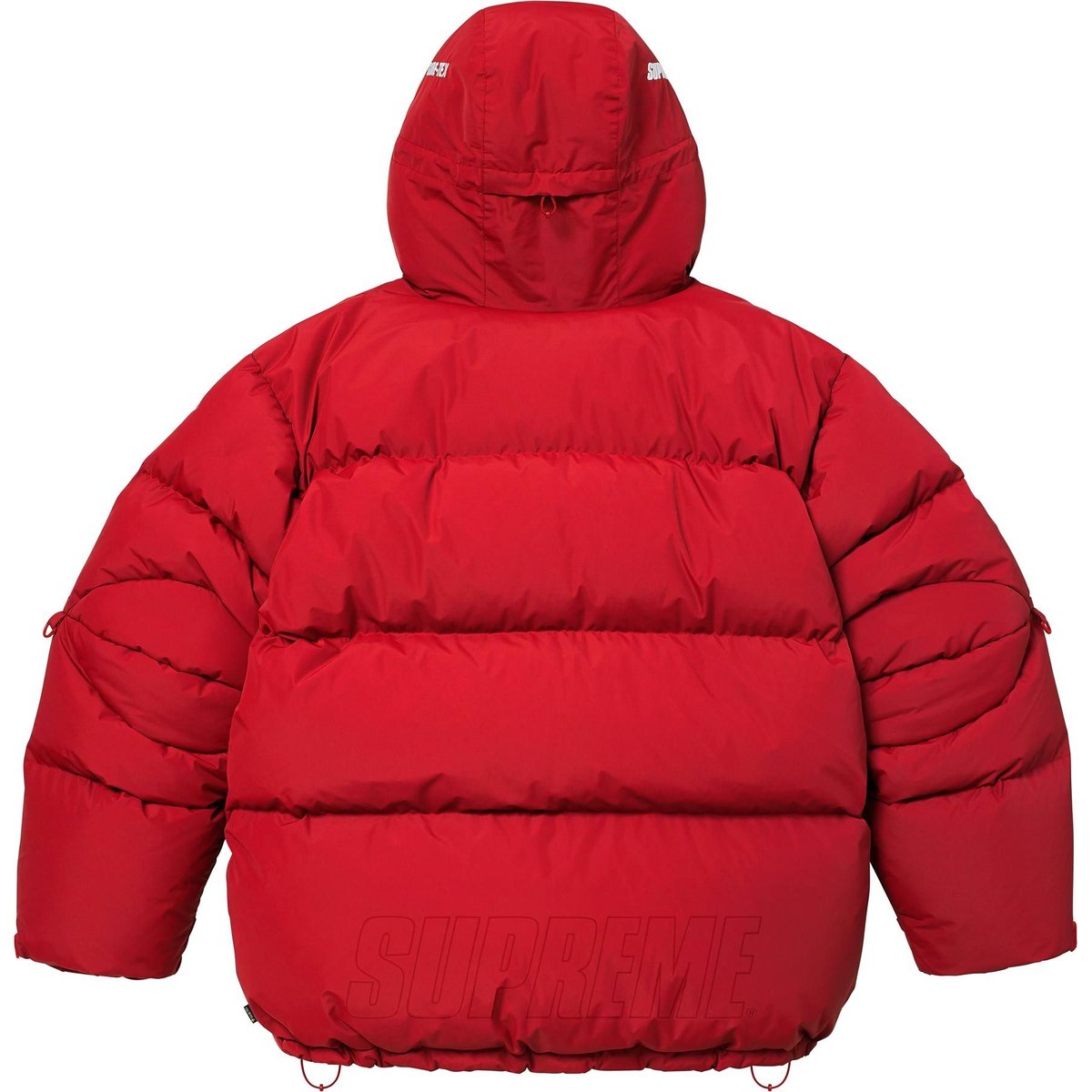 Details on GORE-TEX 900-Fill Down Parka Red from fall winter
                                                    2024