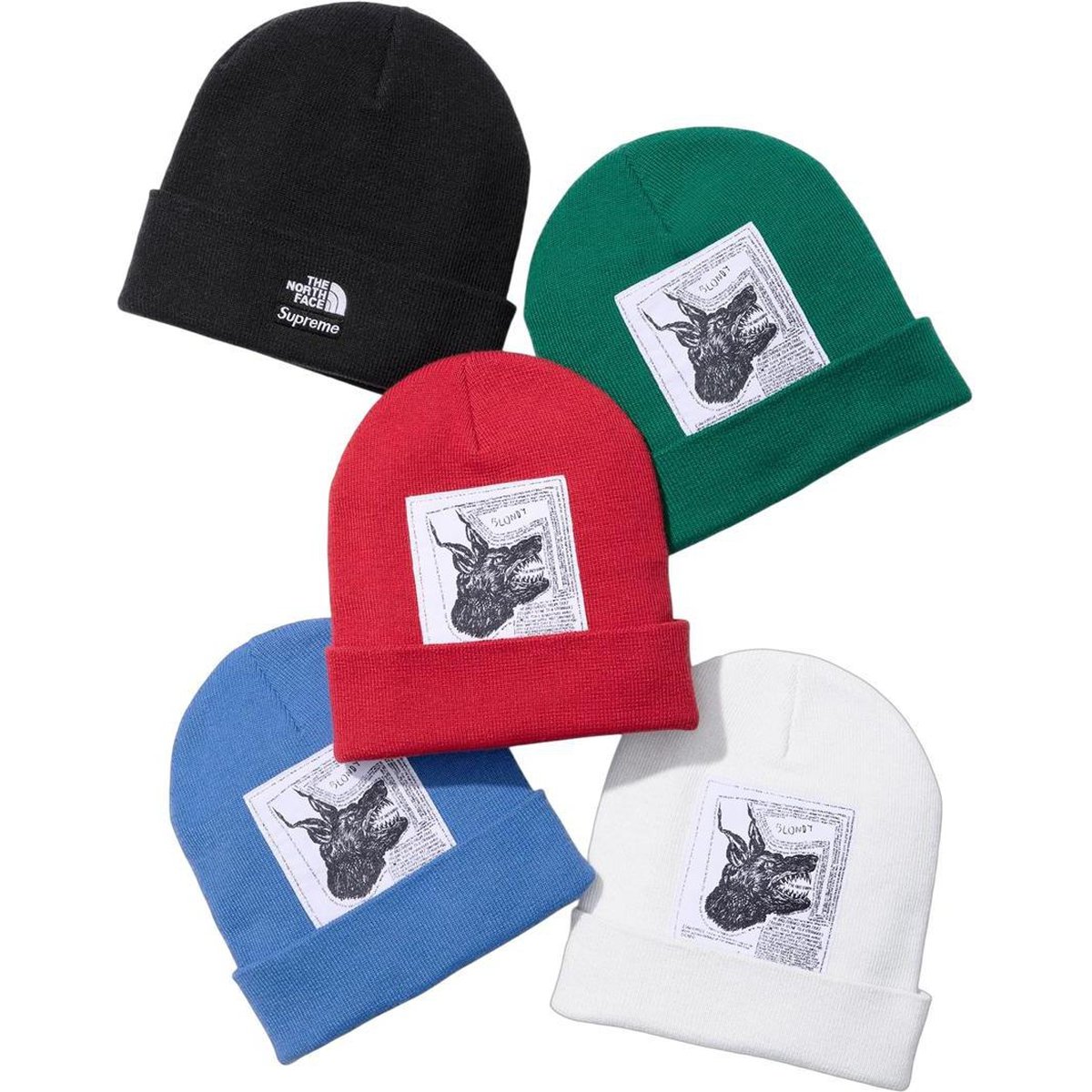 Details on Supreme The North Face Beanie from fall winter
                                            2024 (Price is $44)