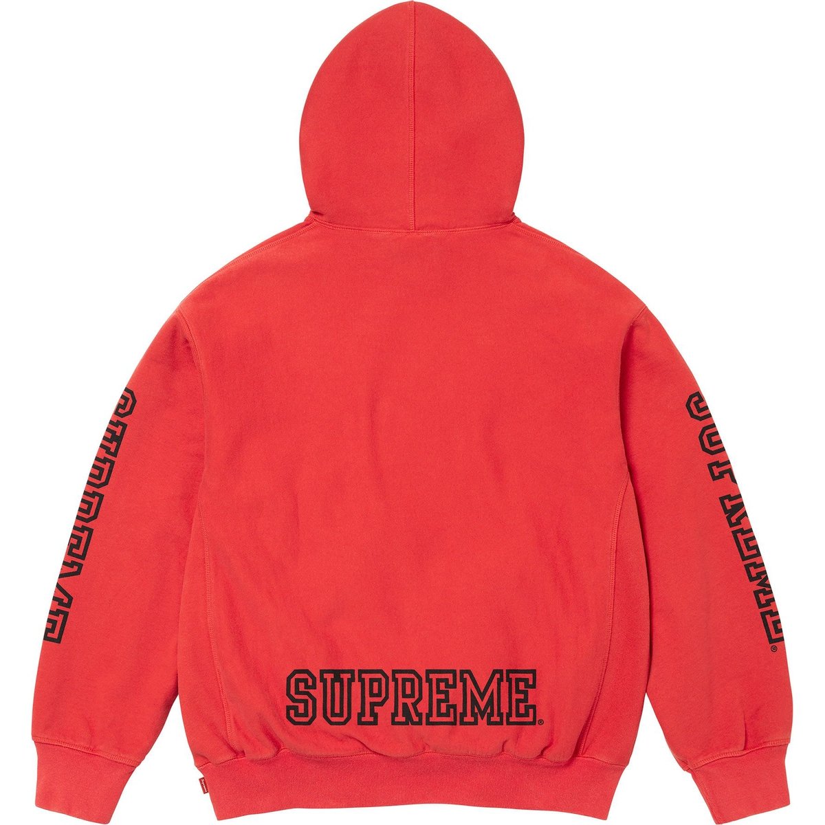 Details on Collegiate Sleeve Hooded Sweatshirt Burnt Red from fall winter
                                                    2024 (Price is $158)