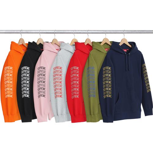Details on Sleeve Arc Hooded Sweatshirt from spring summer
                                            2017 (Price is $148)