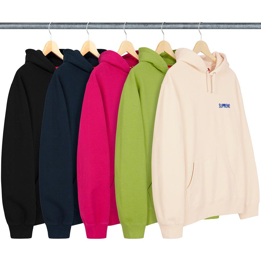 Details on Restless Youth Hooded Sweatshirt from spring summer
                                            2020 (Price is $158)