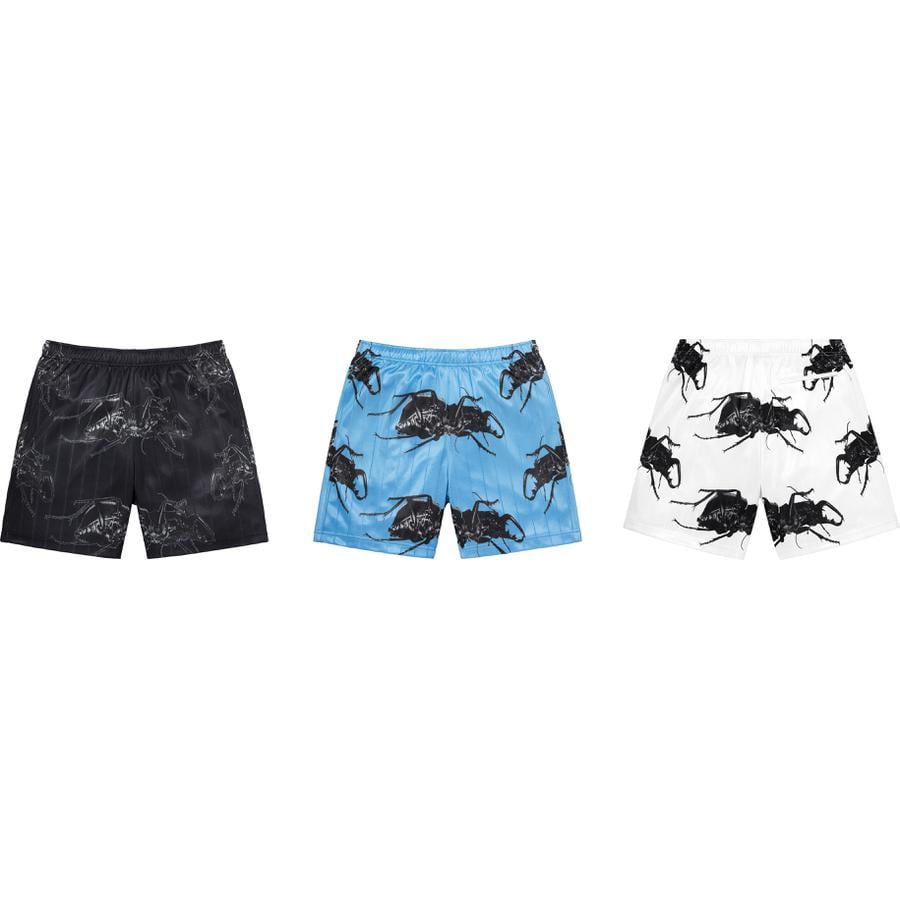 Details on Beetle Short from spring summer
                                            2021 (Price is $118)