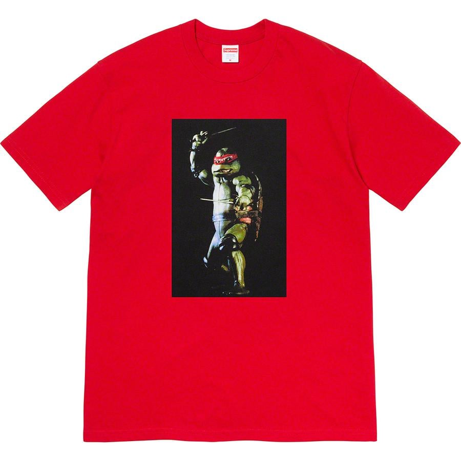 Details on Raphael Tee from spring summer
                                            2021 (Price is $44)