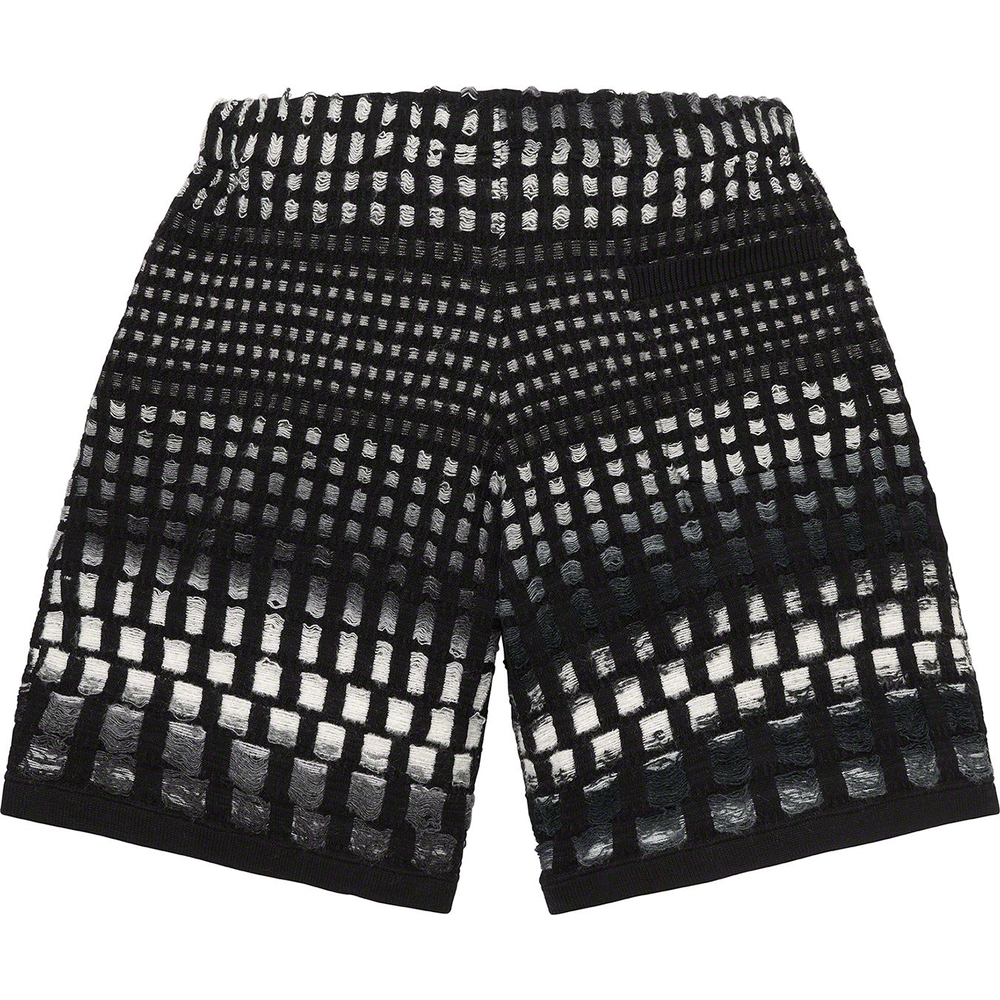 Details on Gradient Grid Knit Short [hidden] from spring summer
                                                    2023 (Price is $138)