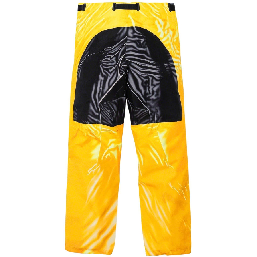 Details on Supreme The North Face Trompe L’oeil Printed Mountain Pant  from spring summer
                                                    2023 (Price is $298)