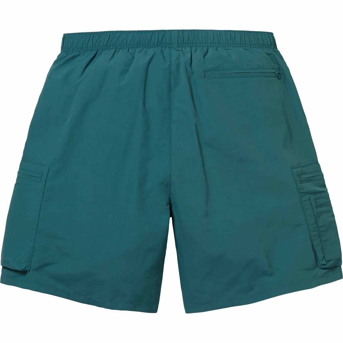 Details on Cargo Water Short Teal from spring summer
                                                    2024 (Price is $110)