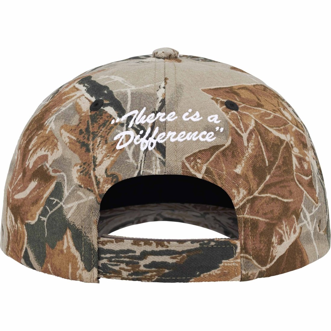 Details on Difference 6-Panel Timber Camo from spring summer
                                                    2024 (Price is $48)
