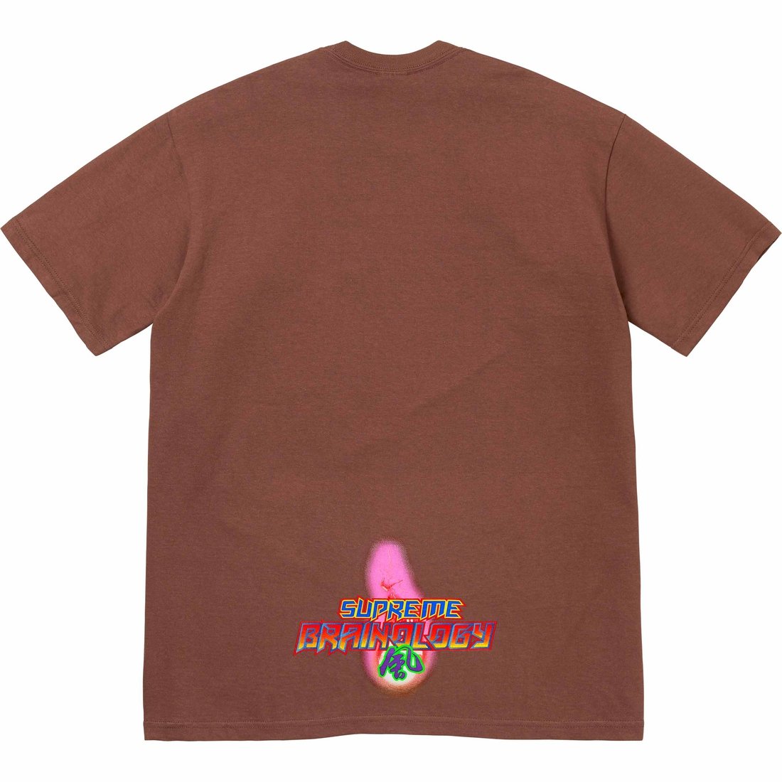 Details on Electromagnetic Tee Brown from spring summer
                                                    2024 (Price is $40)