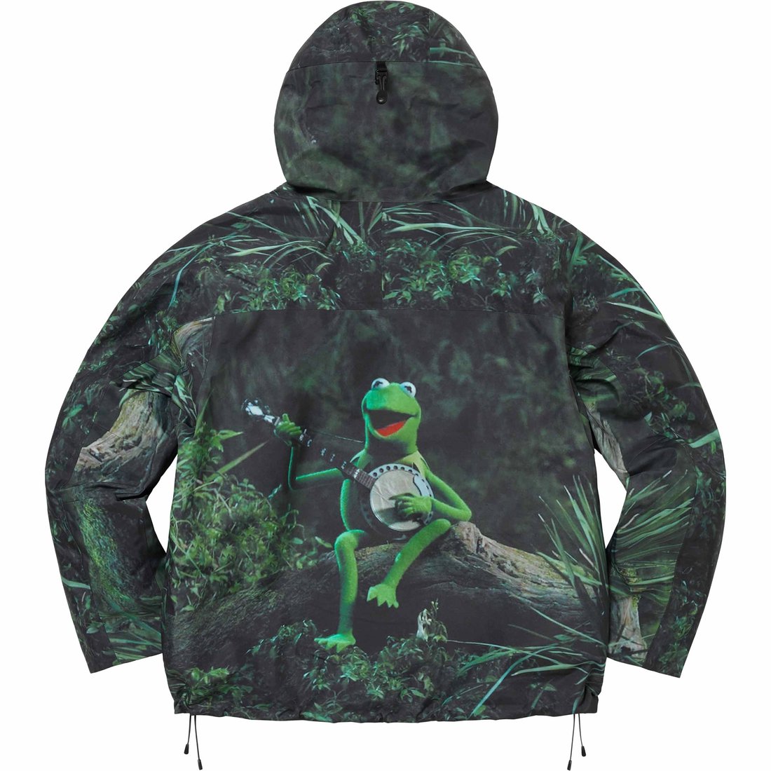 Details on GORE-TEX Taped Seam Shell Jacket Kermit The Frog from spring summer
                                                    2024 (Price is $398)