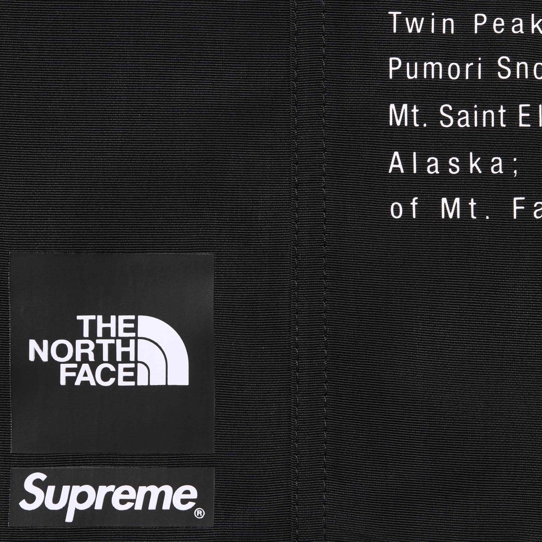 Details on Supreme The North Face Nylon Short Black from spring summer
                                                    2024 (Price is $98)