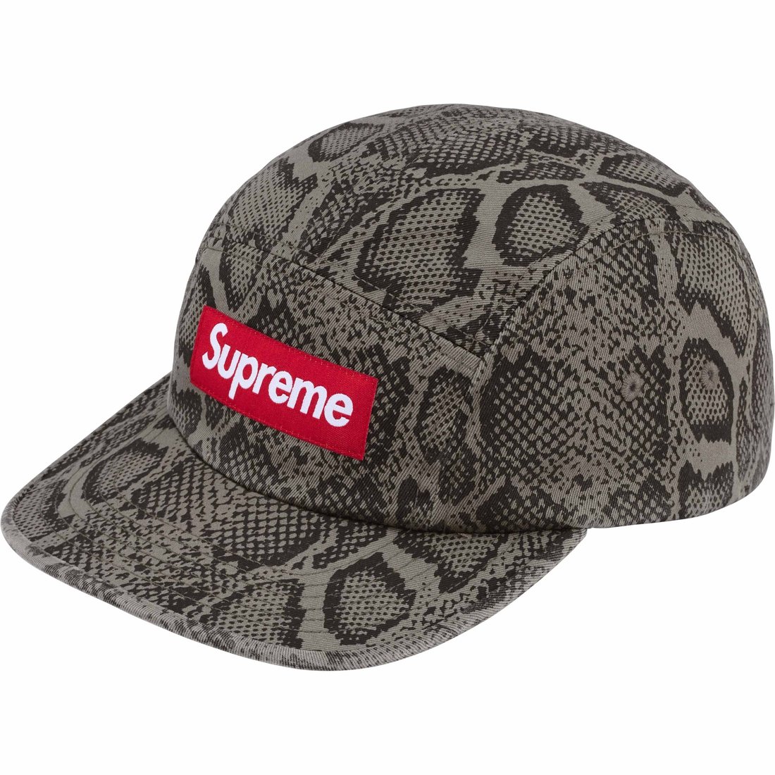Details on Washed Chino Twill Camp Cap Snake from spring summer
                                                    2024 (Price is $48)