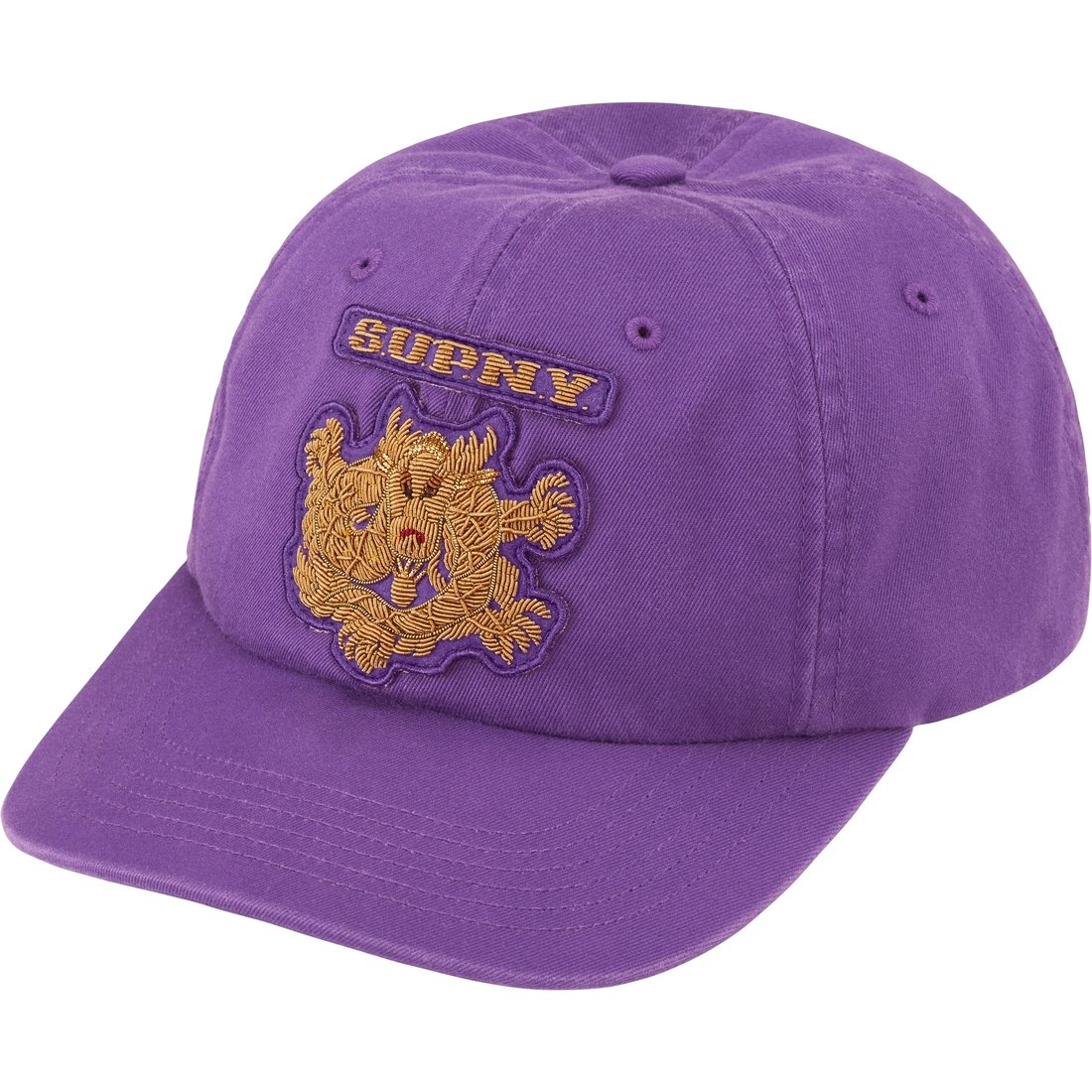 Details on Bullion Dragon 6-Panel Bright Purple from spring summer
                                                    2025 (Price is $68)