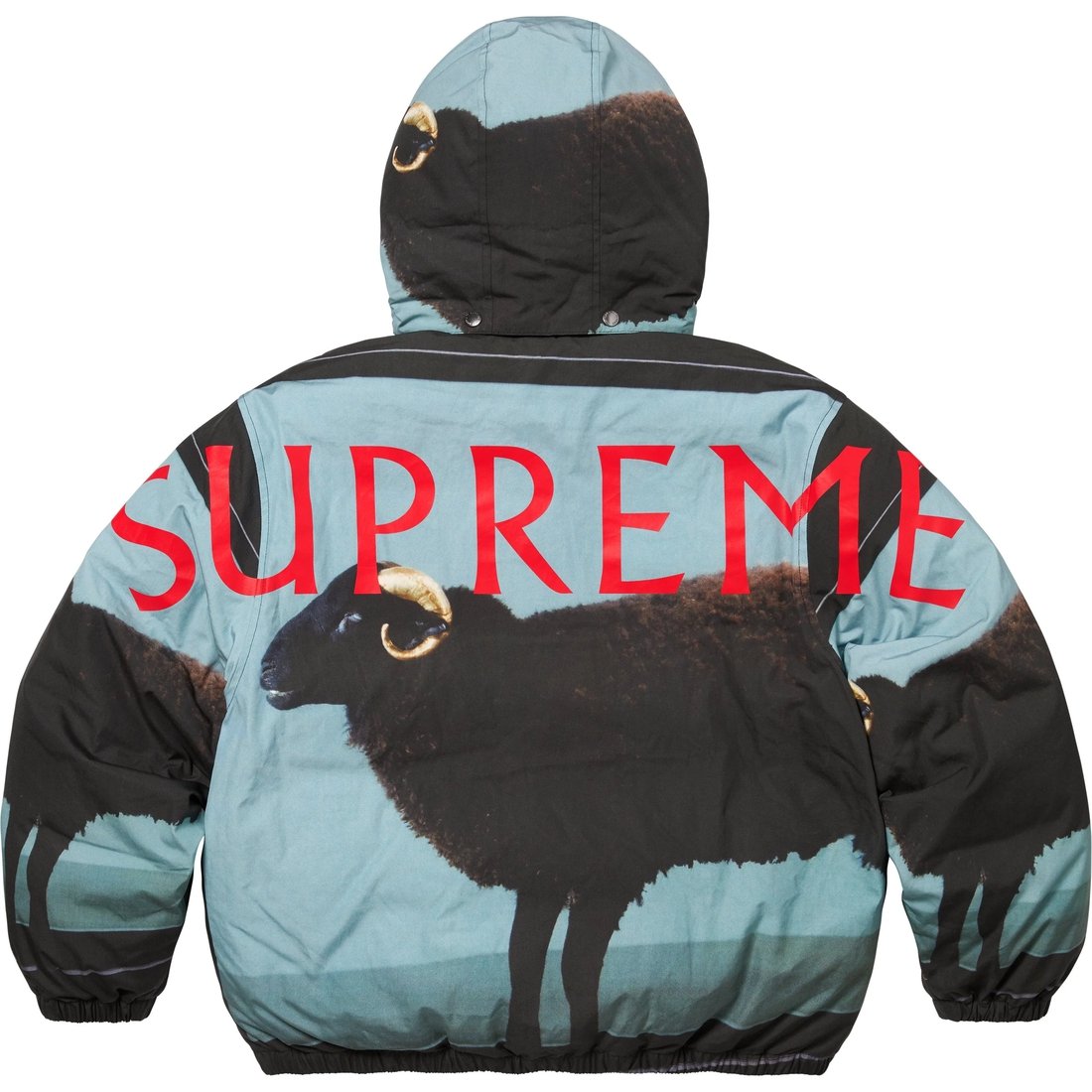 Details on Supreme Damien Hirst Down Puffer Jacket Black from spring summer
                                                    2025 (Price is $488)