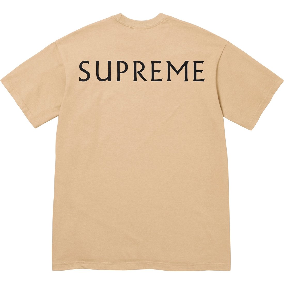 Details on Supreme Damien Hirst Tee Khaki from spring summer
                                                    2025 (Price is $48)