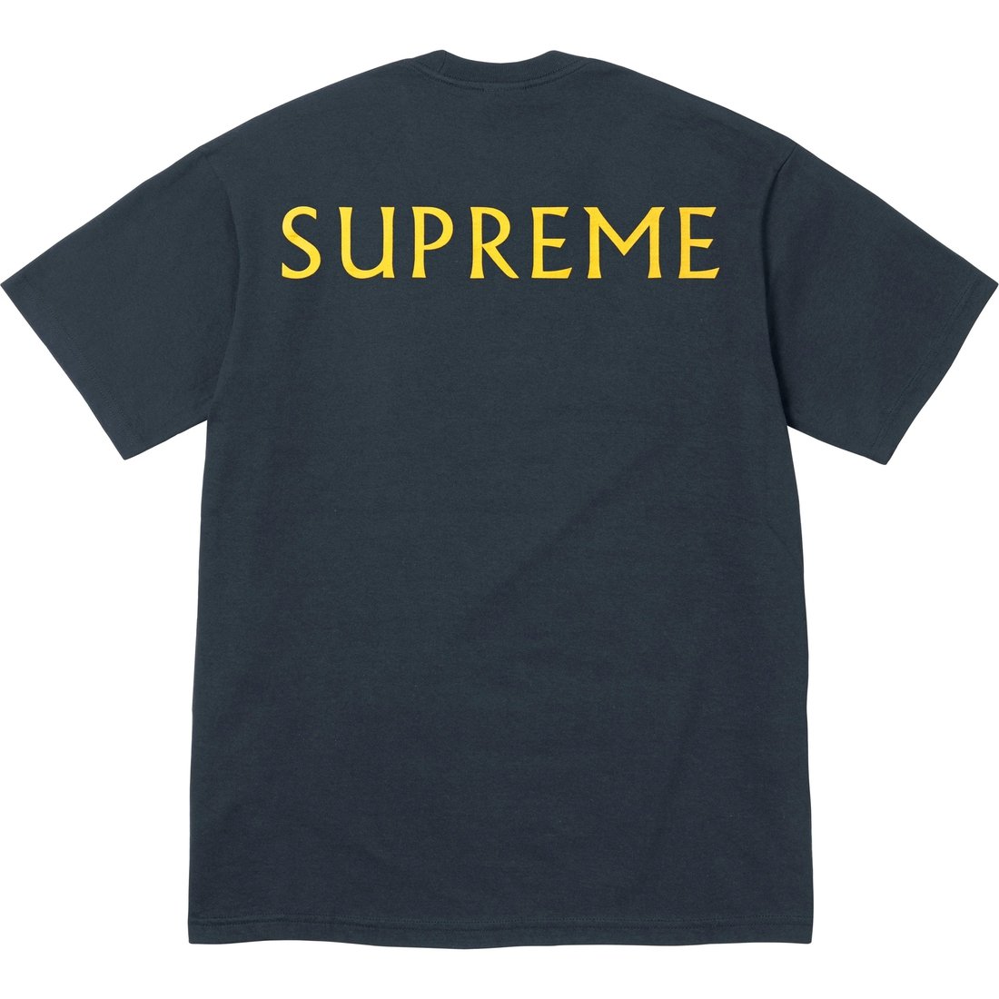 Details on Supreme Damien Hirst Tee Navy from spring summer
                                                    2025 (Price is $48)