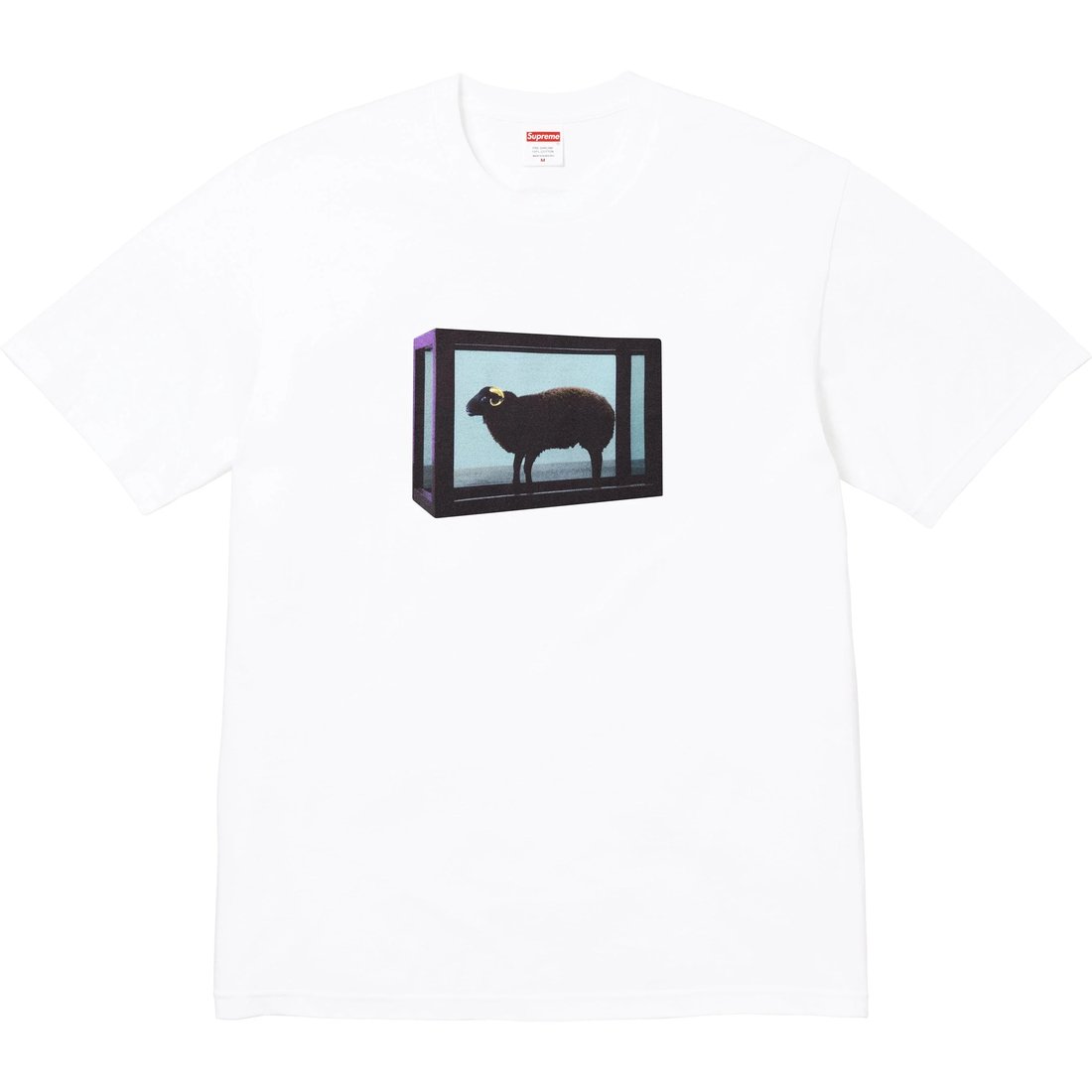 Details on Supreme Damien Hirst Tee White from spring summer
                                                    2025 (Price is $48)