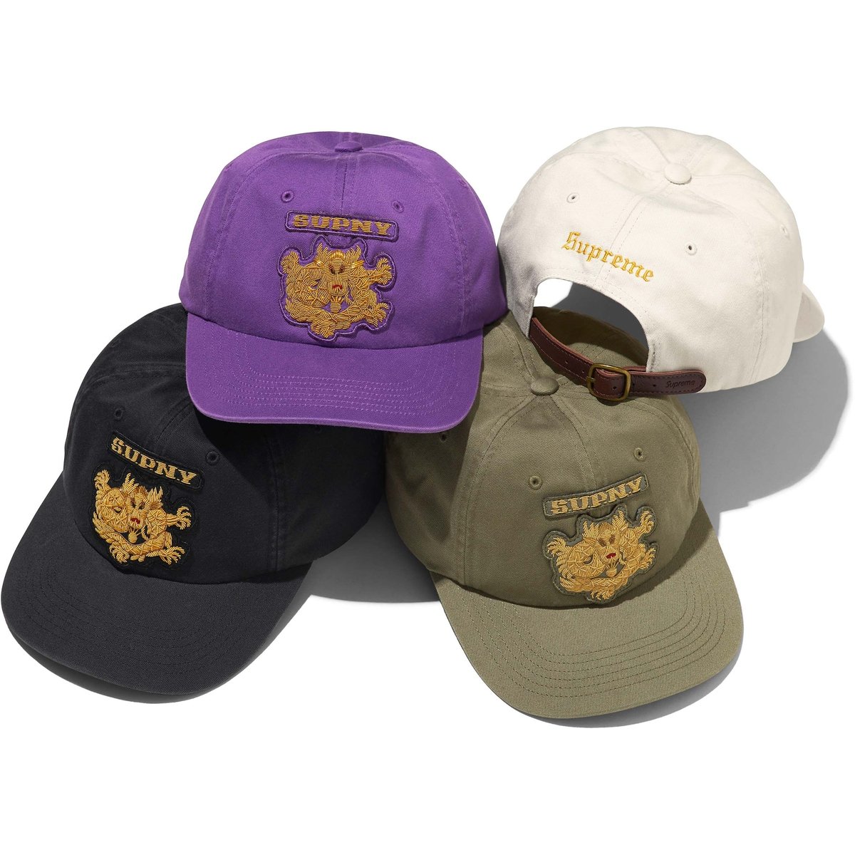 Details on Bullion Dragon 6-Panel from spring summer
                                            2025 (Price is $68)