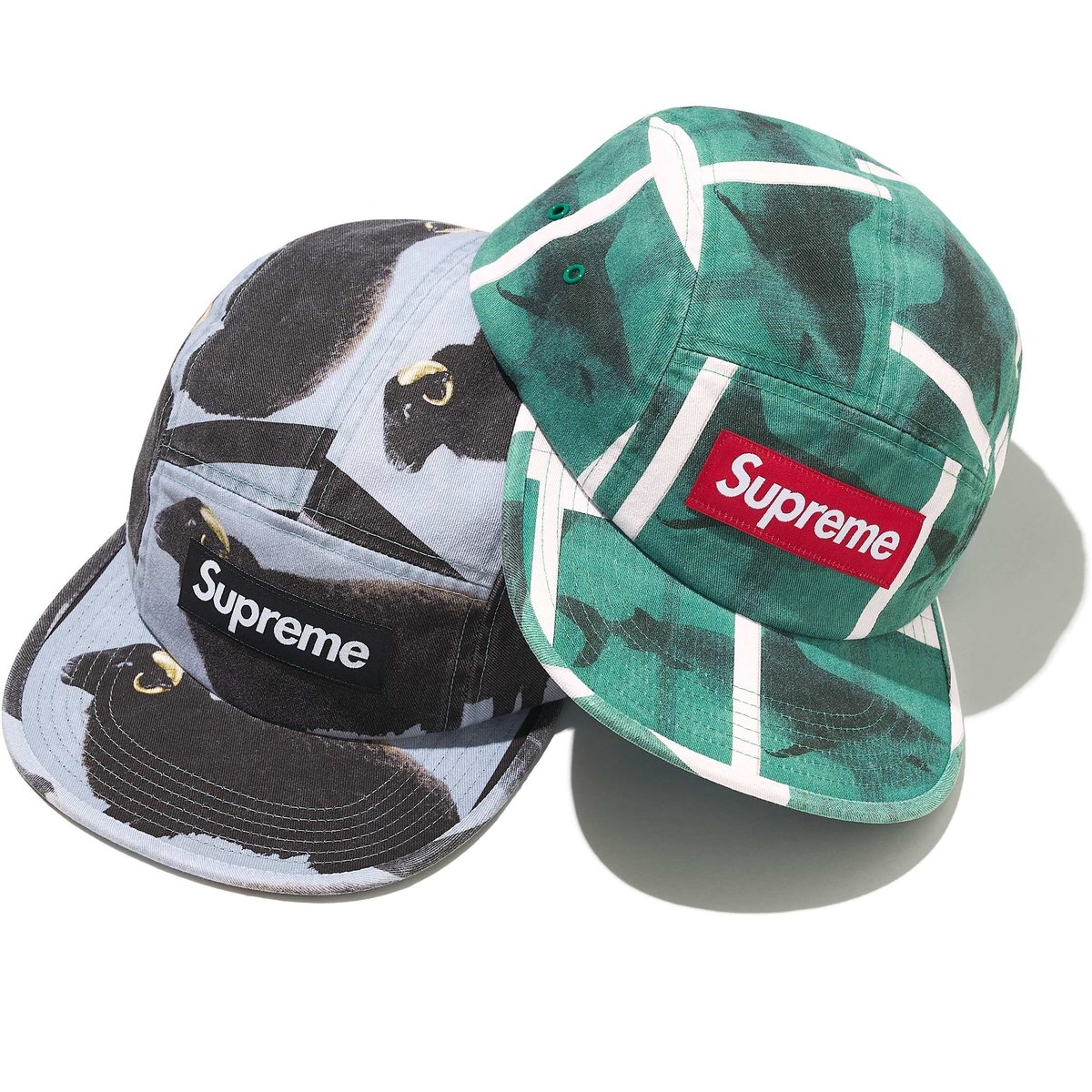 Supreme Supreme Damien Hirst Camp Cap releasing on Week 1 for spring summer 2025