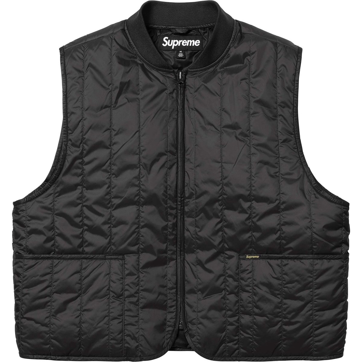 Details on 2-in-1 GORE-TEX Shell + Quilted Liner Vest Black from spring summer
                                                    2025 (Price is $398)