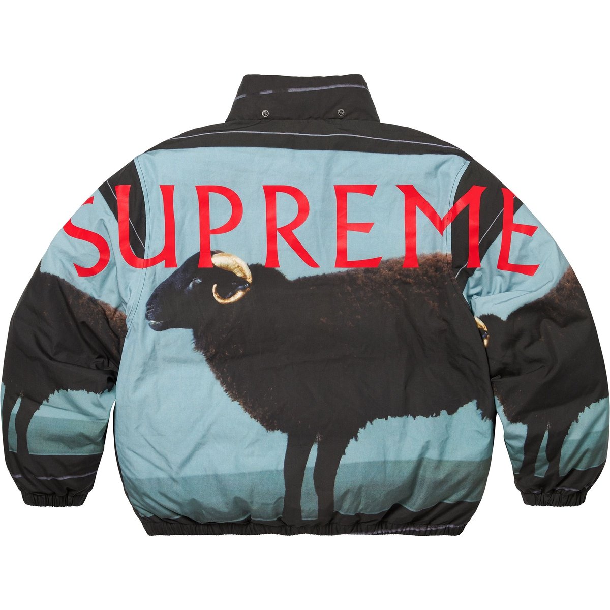 Details on Supreme Damien Hirst Down Puffer Jacket Black from spring summer
                                                    2025 (Price is $488)