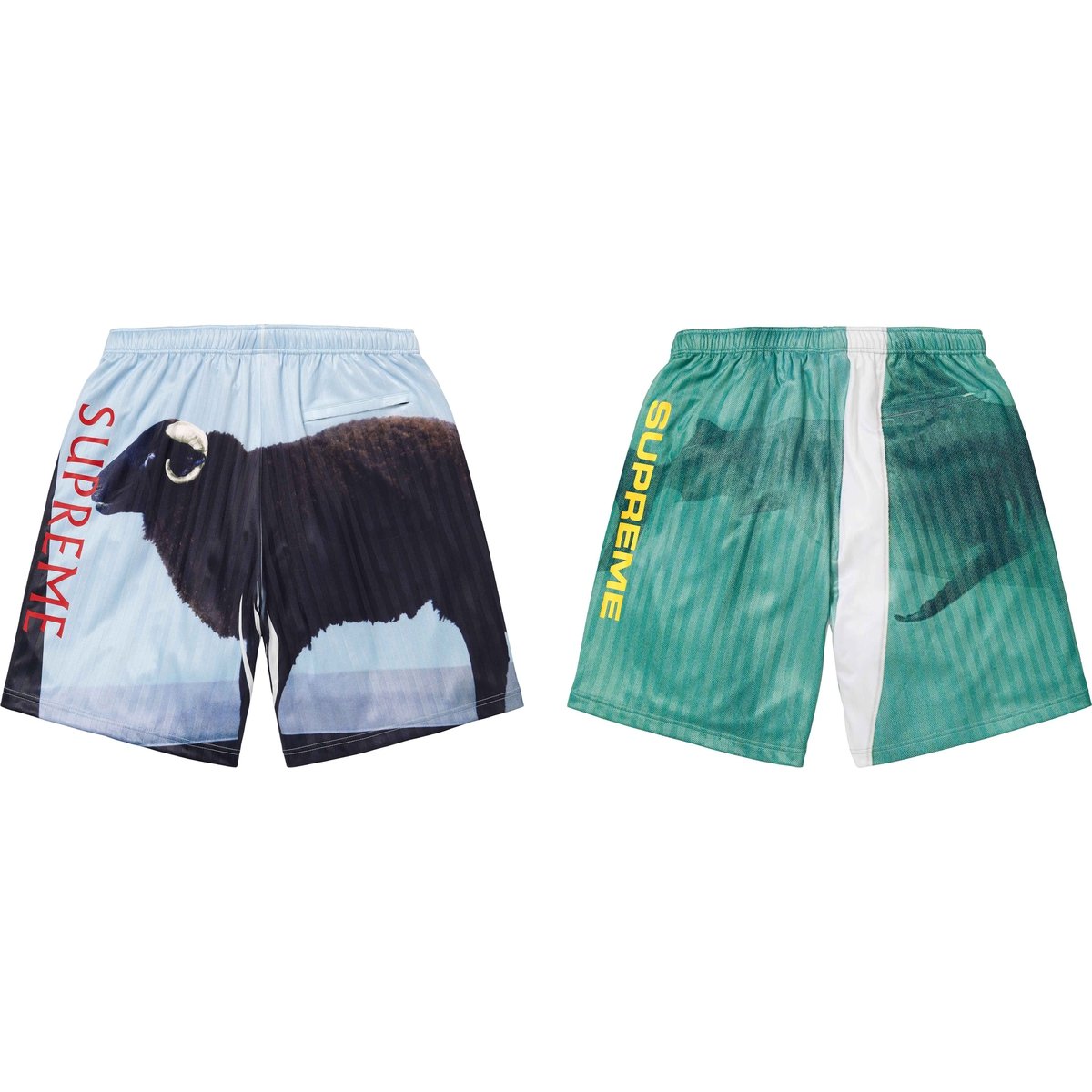 Supreme Supreme Damien Hirst Soccer Short for spring summer 25 season