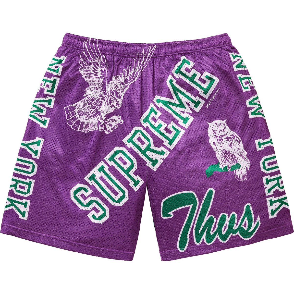 Details on Varsity Mesh Short Purple from spring summer
                                                    2025