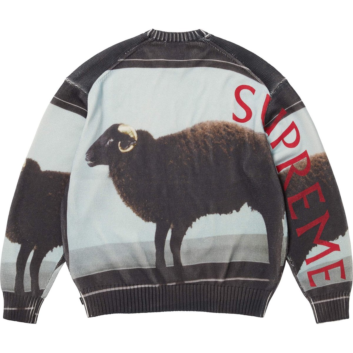 Details on Supreme Damien Hirst Sweater Black from spring summer
                                                    2025 (Price is $198)